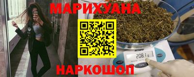 сатива Гатчина