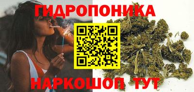 MDMA Premium VHQ Гай