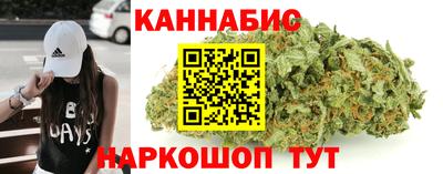 сатива Гатчина