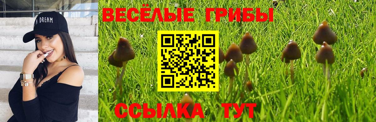 цены наркотик  Псилоцибиновые грибы ЛСД  Вход с VPN  Нововоронеж  Галлюциногенные грибы ЛСД 