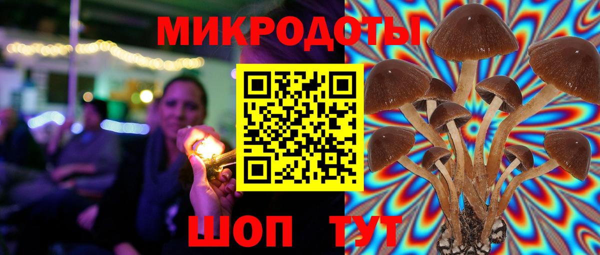 Галлюциногенные грибы прущие грибы Нововоронеж